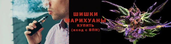 ГАЛЛЮЦИНОГЕННЫЕ ГРИБЫ Алексеевка