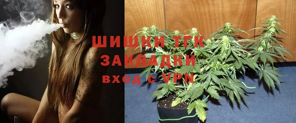 шишки Алексин