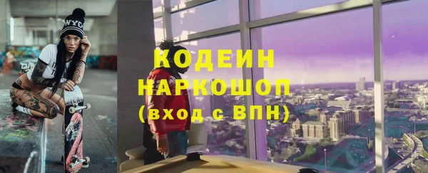 шишки Алексин