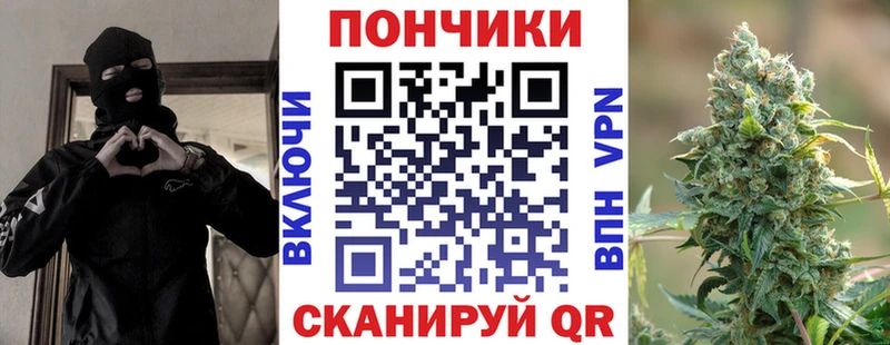 купить   Анива  МАРИХУАНА индика 